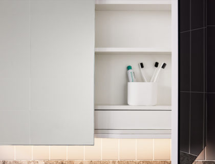 Domain Mirrored Cabinet designer mirrored cabinet