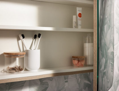 Spectra Mirrored Cabinet 